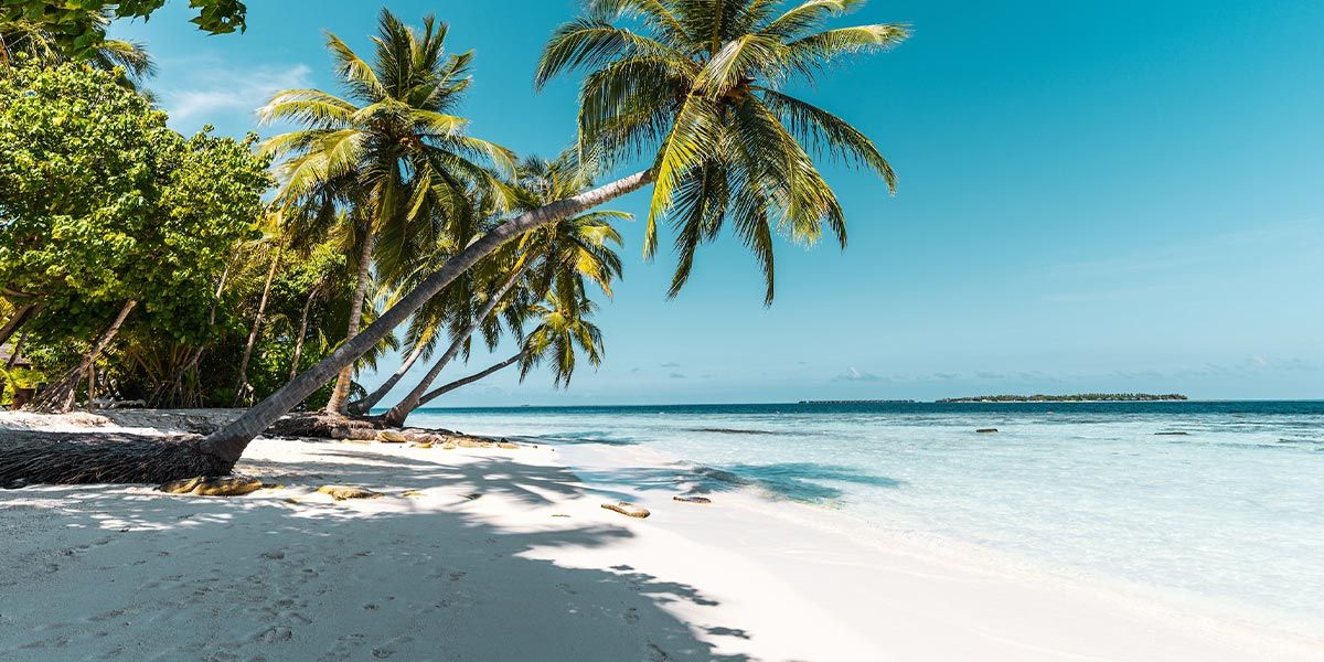  Foto zu Maldivi Aranžmani 2025/2026 - Polasci i Cene 